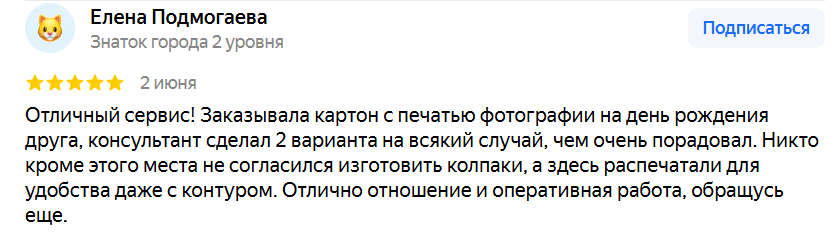 Елена Подмогаева